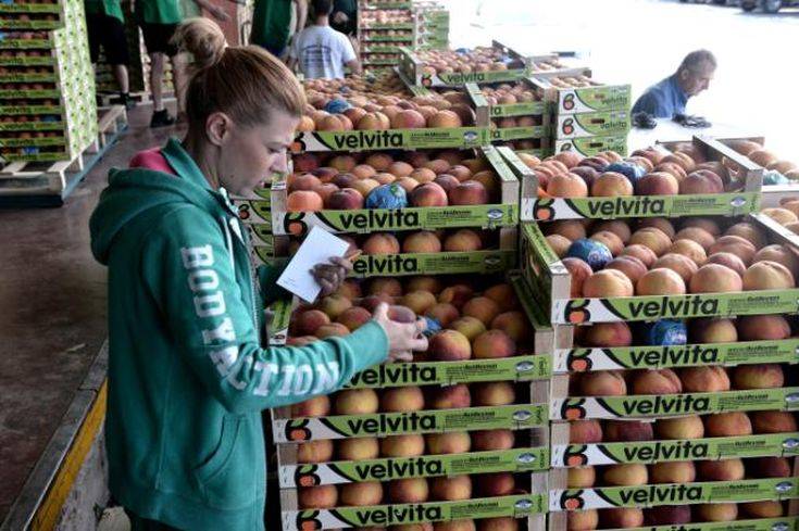 velvento_02 velvento_02