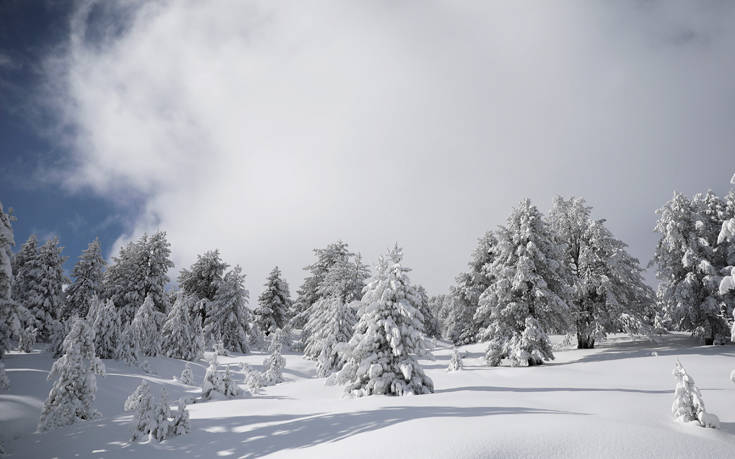 ΠΙΝΔΟΣ ΠΙΝΔΟΣ