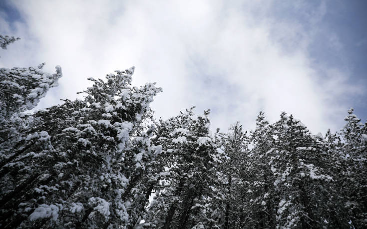 ΠΙΝΔΟΣ ΠΙΝΔΟΣ