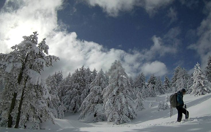 ΠΙΝΔΟΣ ΠΙΝΔΟΣ