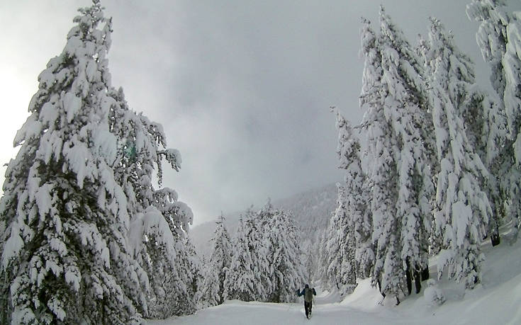 ΠΙΝΔΟΣ ΠΙΝΔΟΣ