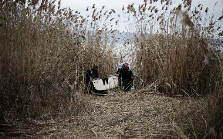 ÎÎÎÎ¡Î ÎÎÎÎÎ