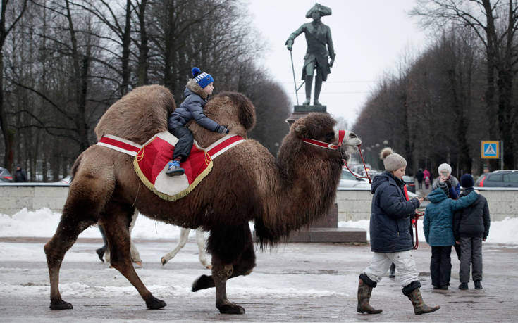 AP_18003610570753 AP_18003610570753