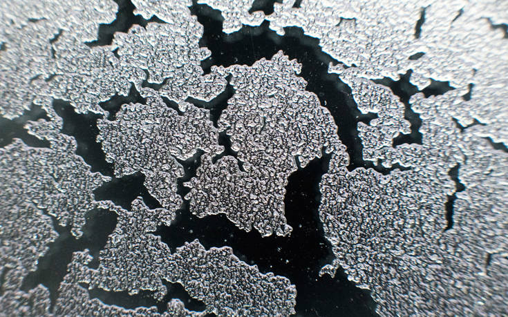 AP_18015468175950 AP_18015468175950