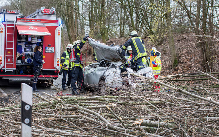 AP_18018426928503 AP_18018426928503