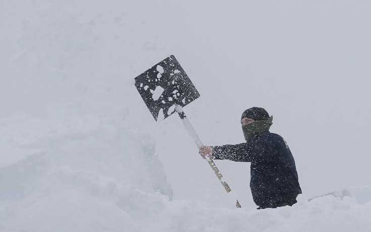 AP_18022364224531 AP_18022364224531