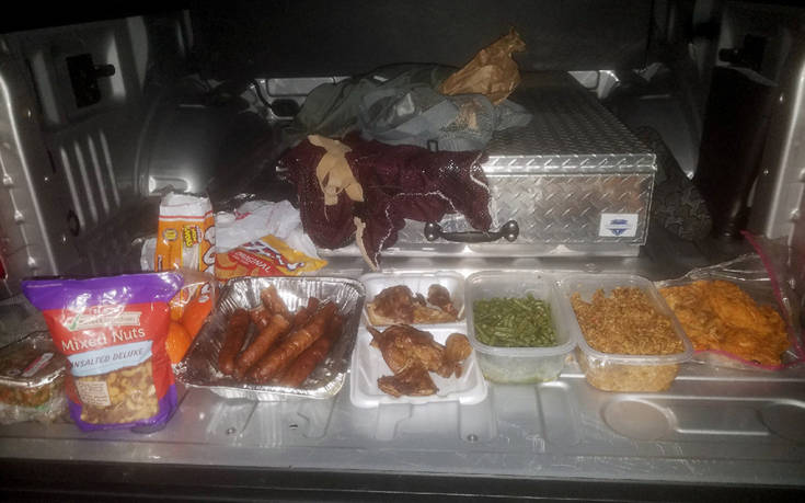 AP_18026708864719 AP_18026708864719