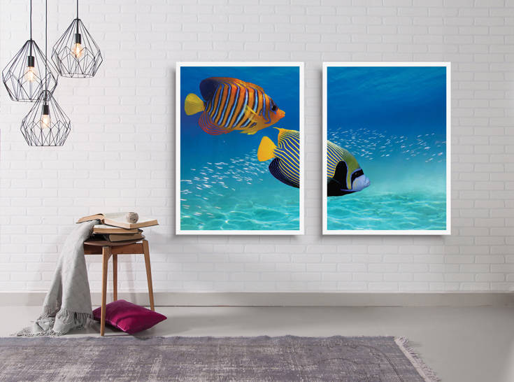 DigitalSignage DigitalSignage