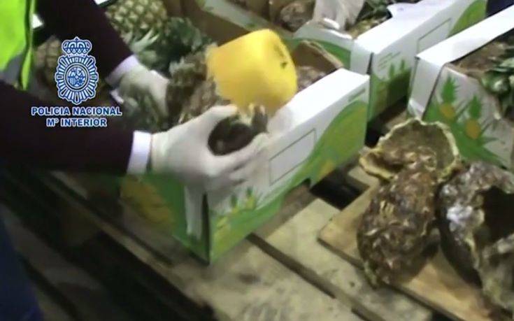 Βρήκαν 745 κιλά κοκαΐνης μέσα σε ανανάδες