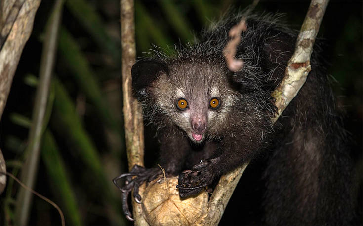 aooruuyeeyysaayyeye000 aooruuyeeyysaayyeye000