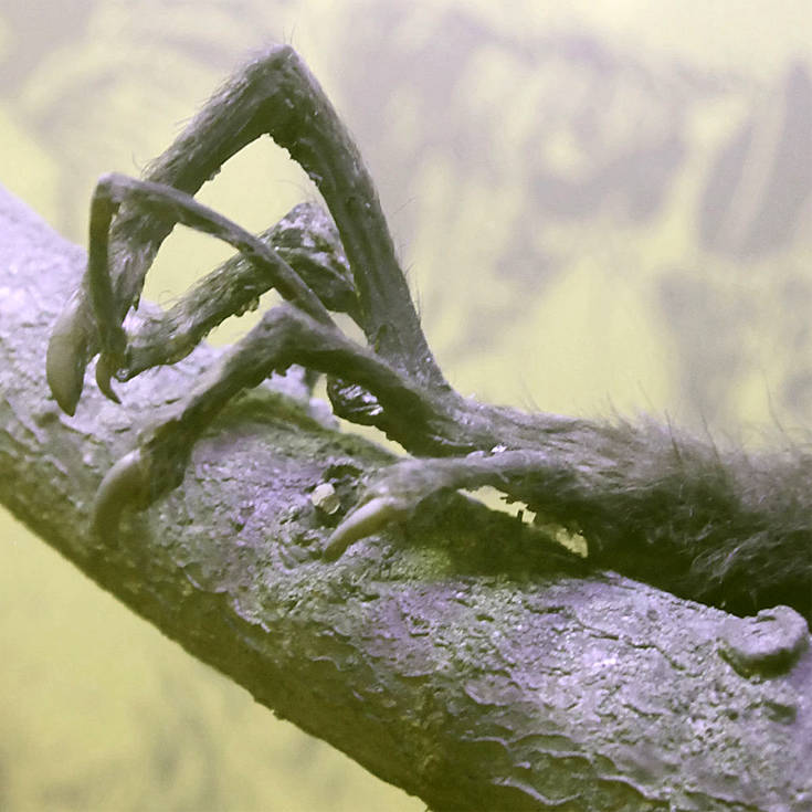 aooruuyeeyysaayyeye1 aooruuyeeyysaayyeye1