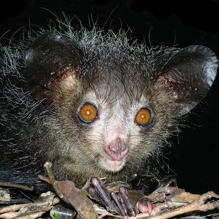 aooruuyeeyysaayyeye2 aooruuyeeyysaayyeye2