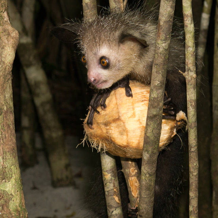 aooruuyeeyysaayyeye4 aooruuyeeyysaayyeye4