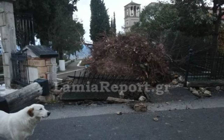 Ξήλωσε σκεπές και έριξε δέντρα ο αέρας στη Λαμία