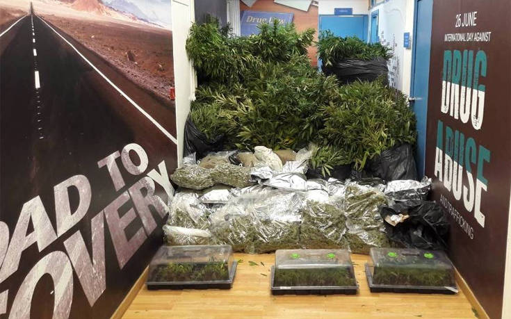 pfdigiofd1 pfdigiofd1