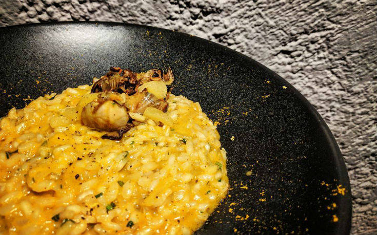 piperia5_ok piperia5_ok