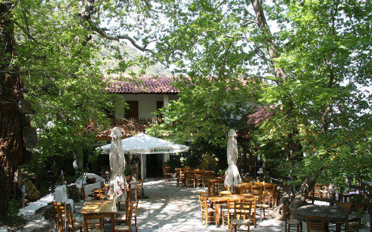 platanos_ok platanos_ok