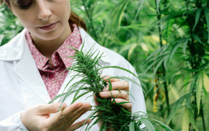 athens cannabis expo