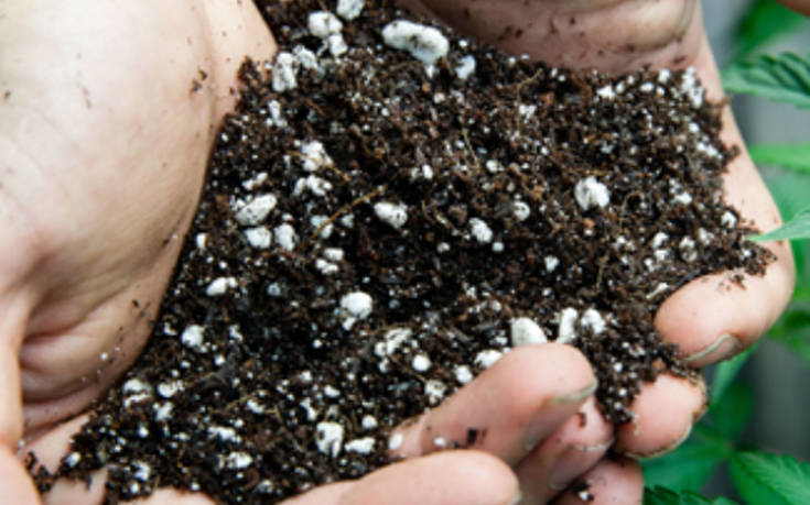 athens cannabis expo