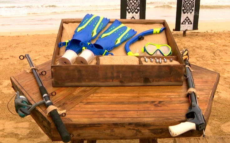 SURVIVOR 2 SURVIVOR 2