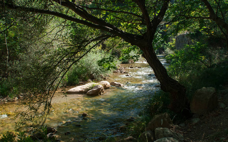 ÎÎÎÎ