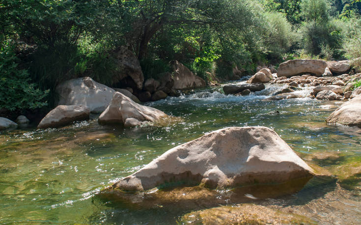 ÎÎÎÎ