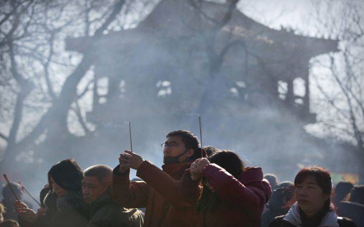 Το 2018 είναι η Χρονιά του Σκύλου
