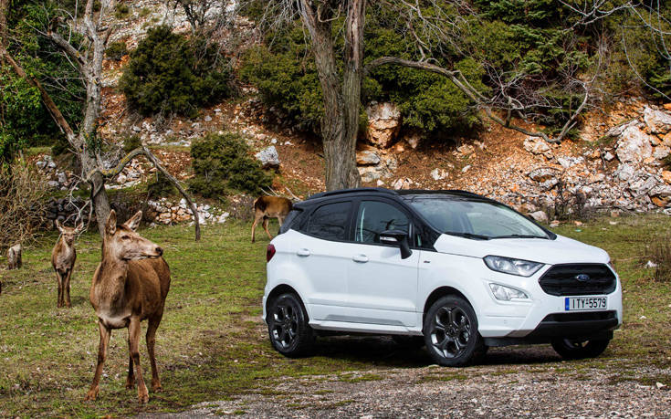 ECO_LOW_009 ECO_LOW_009