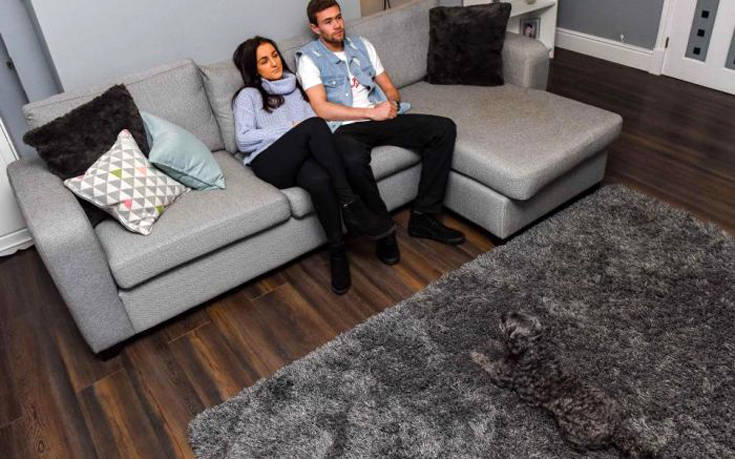 Κατοικίδια που καμουφλάρονται