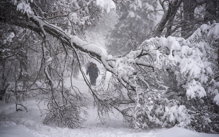 ΜΟΣΧΑ ΧΙΟΝΙ ΜΟΣΧΑ ΧΙΟΝΙ