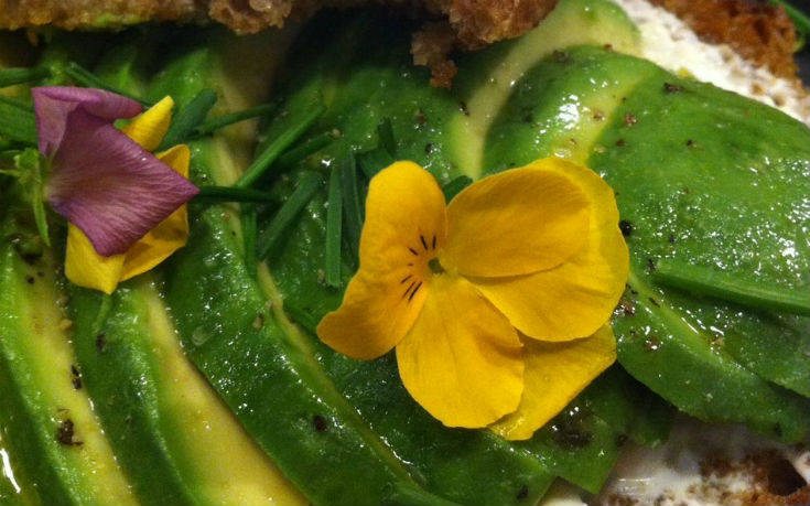 bartesera_9_ok bartesera_9_ok