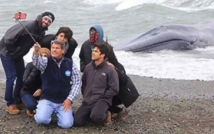 goihriogh1 goihriogh1