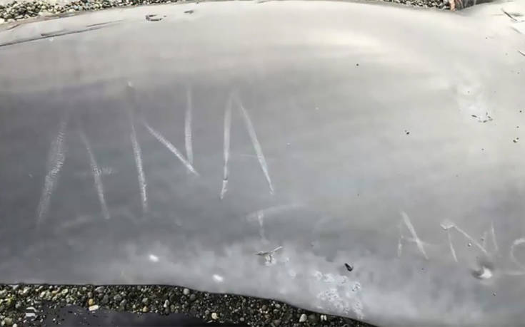 goihriogh3 goihriogh3