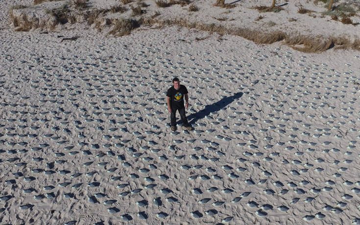 kkfkfoosofeppfsefse000