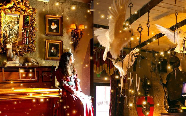 little_kook little_kook