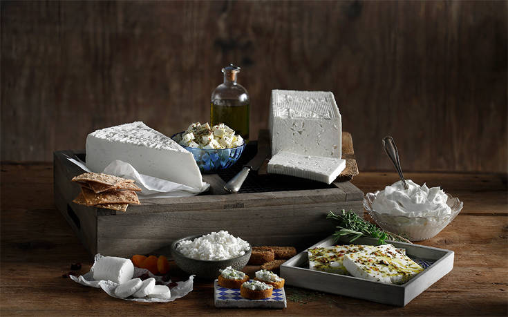 oreyntpon1 oreyntpon1