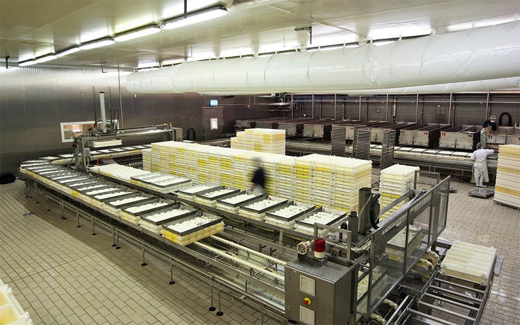 oreyntpon3 oreyntpon3