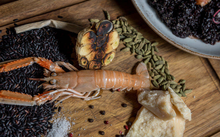 ramino5_oksite ramino5_oksite