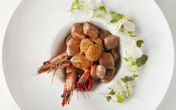 ramino6_oksite ramino6_oksite