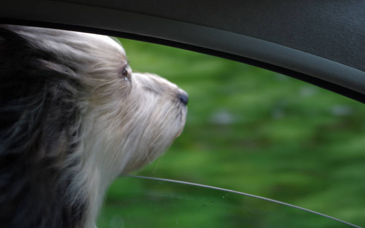 shutterstock549989656 shutterstock549989656