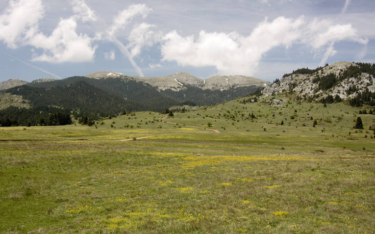 ΟΙΤΗ