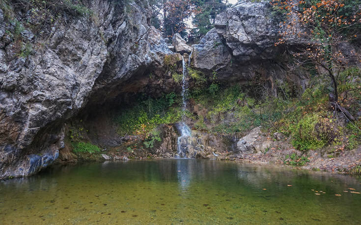 ΚΑΤΑΡΡΑΚΤΕΣ ΔΡΥΜΩΝΑ