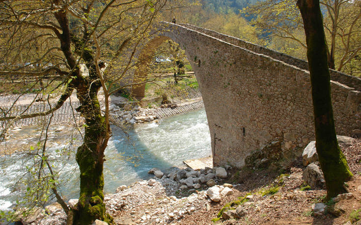 ΕΛΑΤΗ