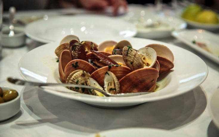 taxidevontas13 taxidevontas13