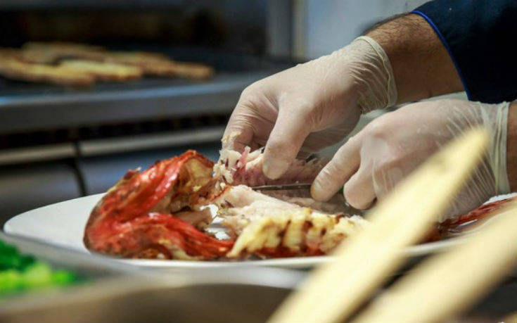 taxidevontas2_ok-site taxidevontas2_ok-site