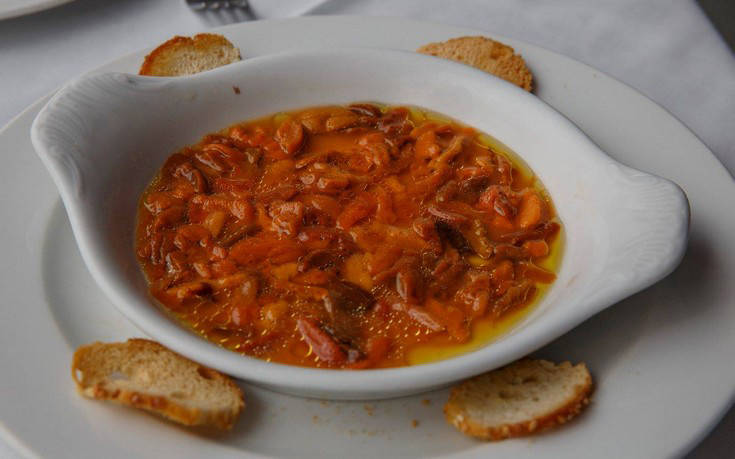 taxidevontas7 taxidevontas7