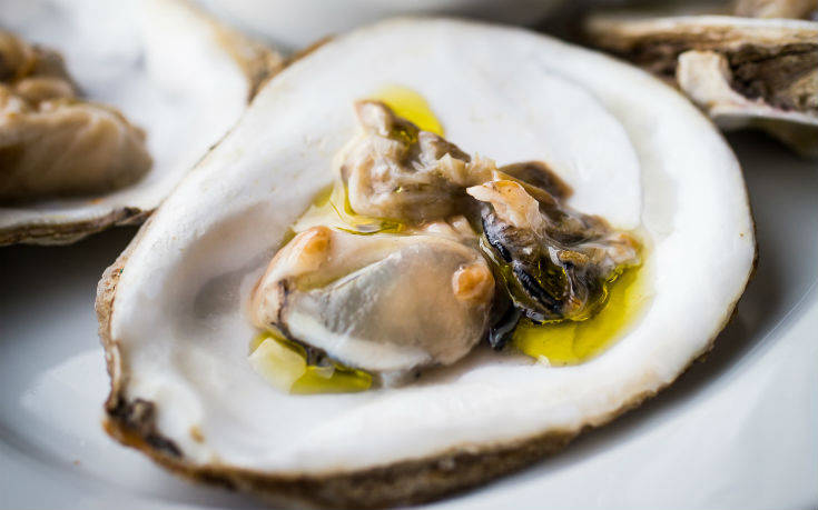 theathalassa2_ok theathalassa2_ok