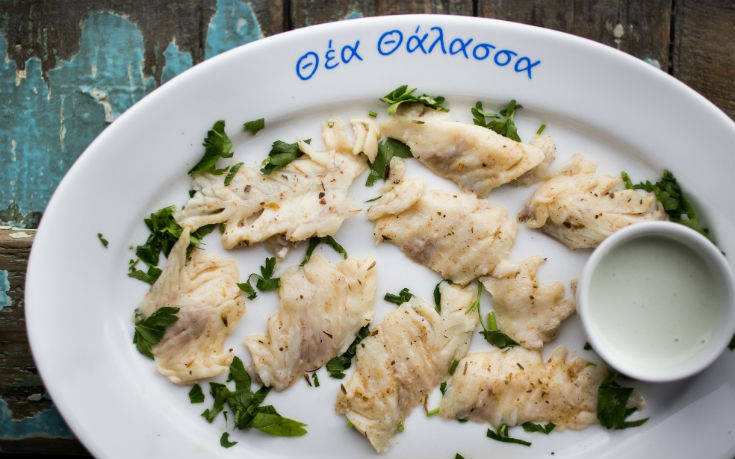 theathalassa3_ok theathalassa3_ok