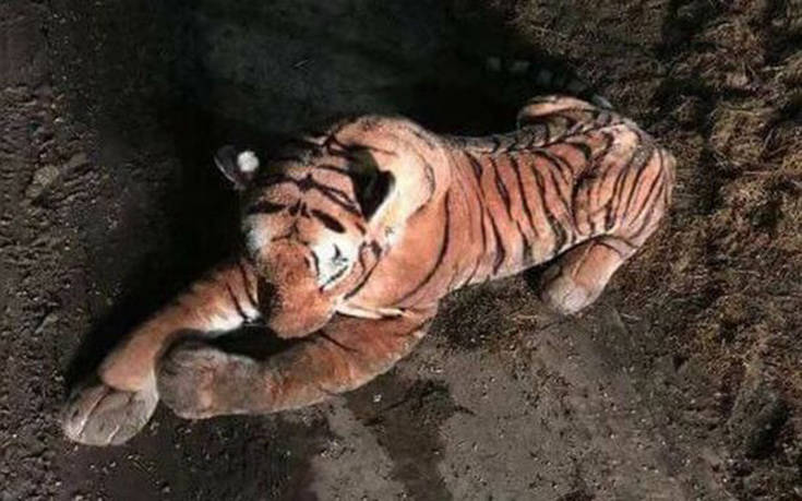 ttihggekkkjgsjfseresresr000