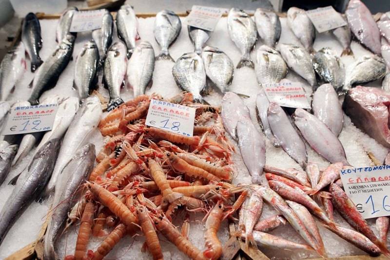 Δεσμεύτηκαν ψάρια 384 κιλών στο λιμάνι του Πειραιά